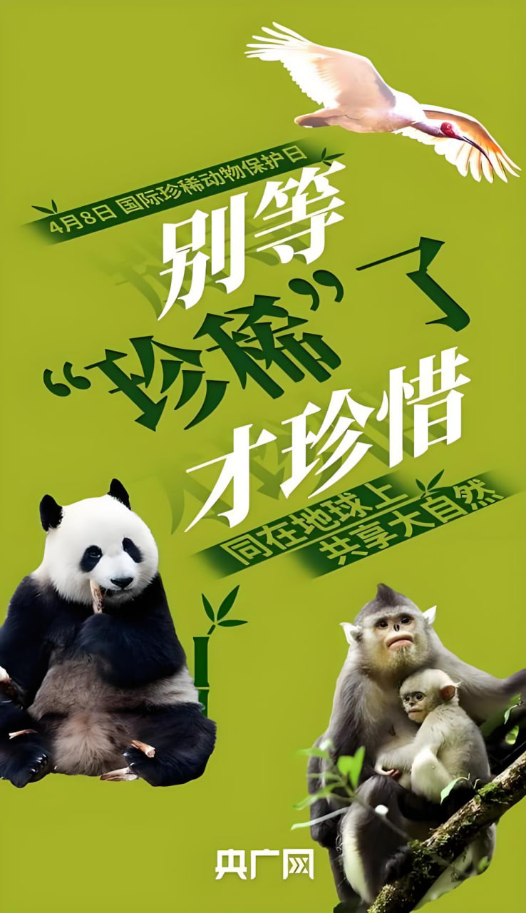美剧《老友记》